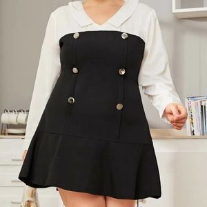 NWOT Color Block Double Breasted Dress